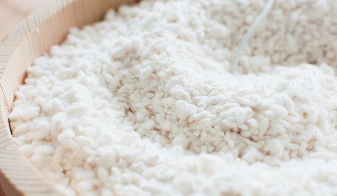 A Guide to Koji: The Gold in Japanese Homes