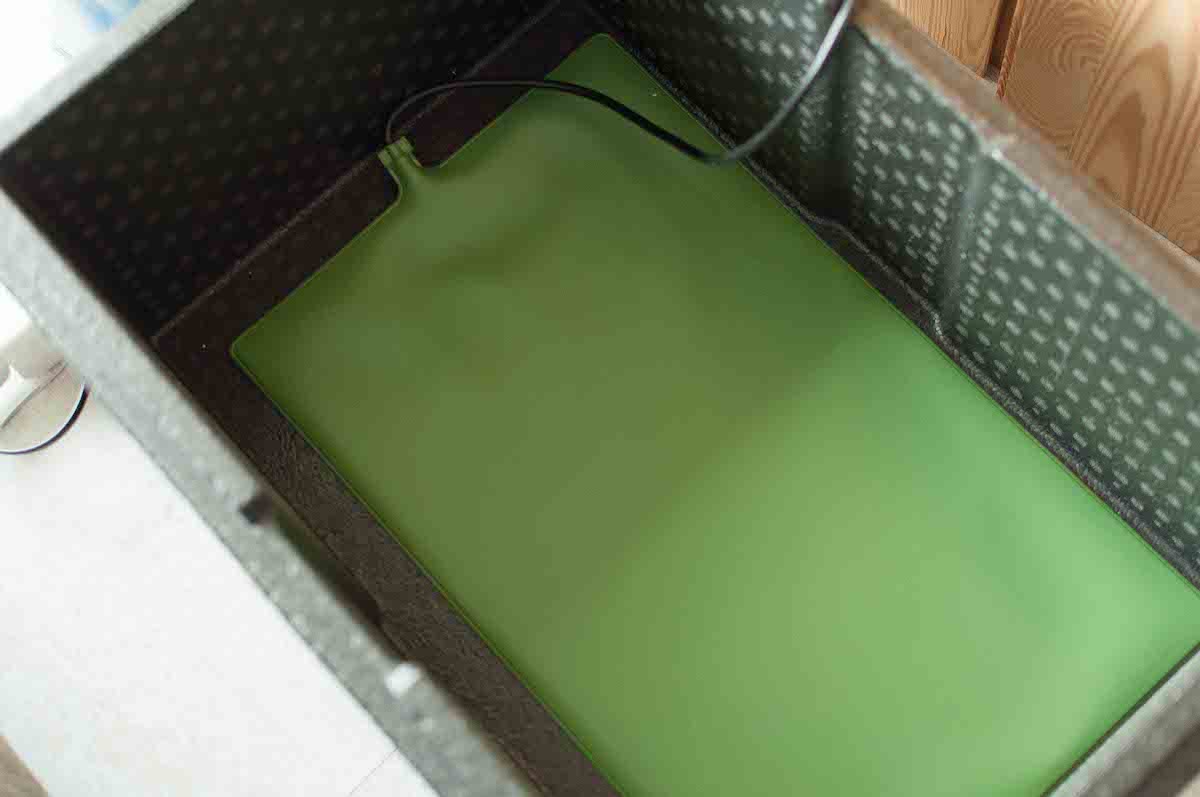 Green heat pad place inside the Styrofoam box