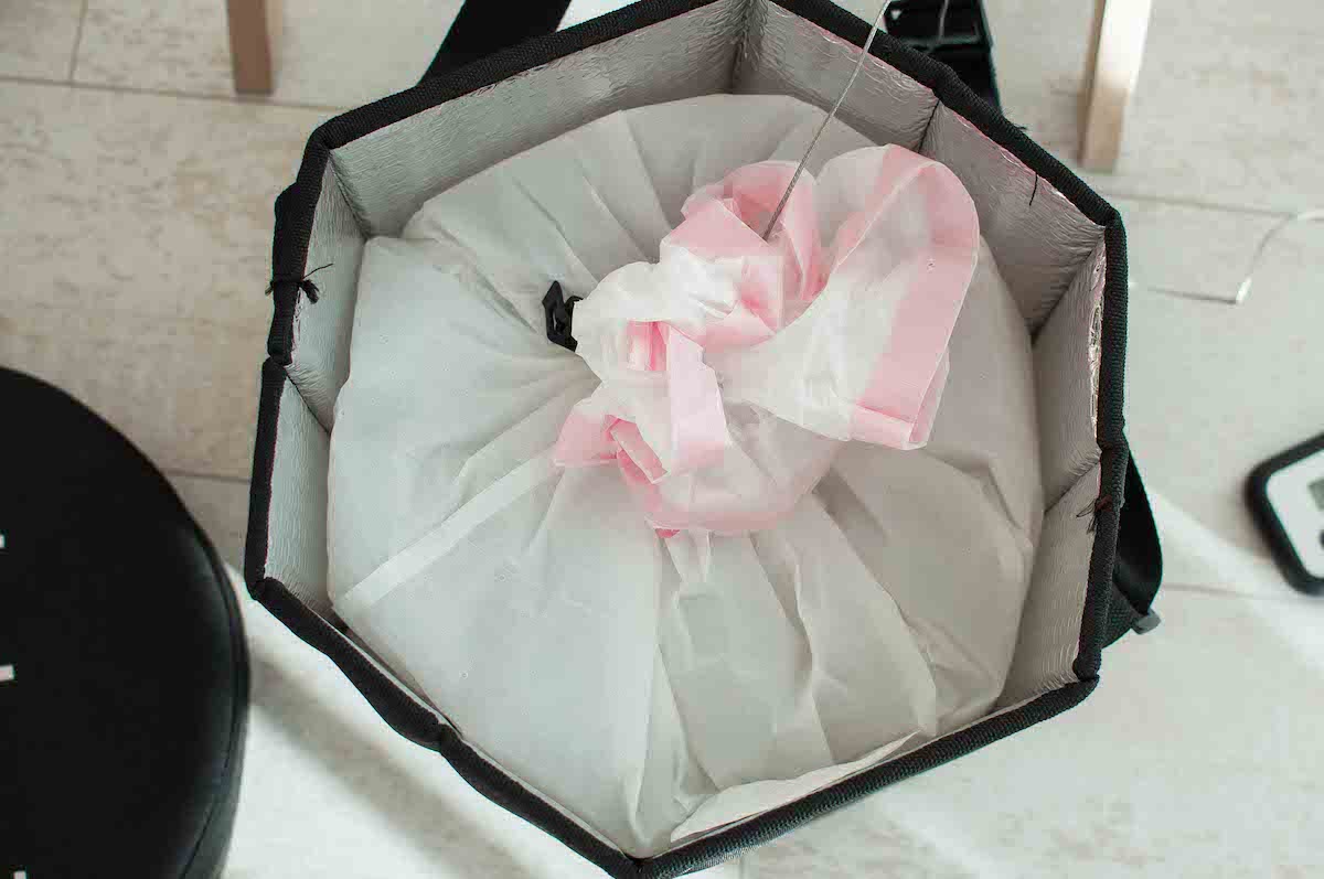 Koji in a plastic bag in a cooler box