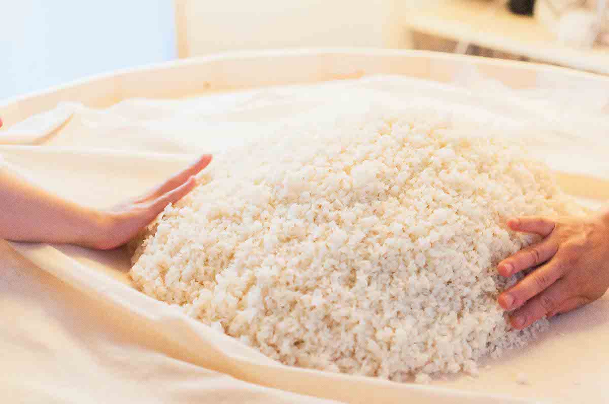 Rice touched by hands