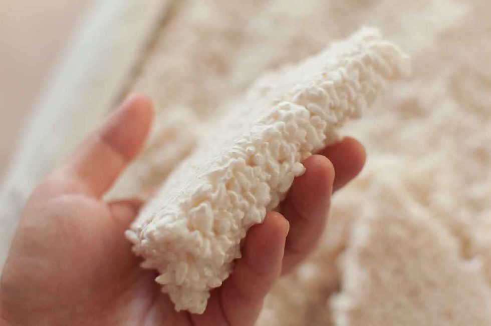 Koji and Your Health - Hakko Hub