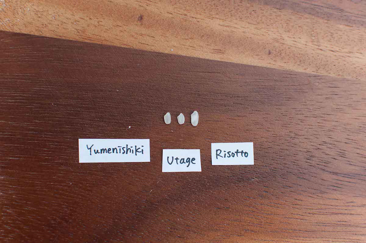 A piece of Yumenishiki rice, Utage rice and Risotto rice on a table