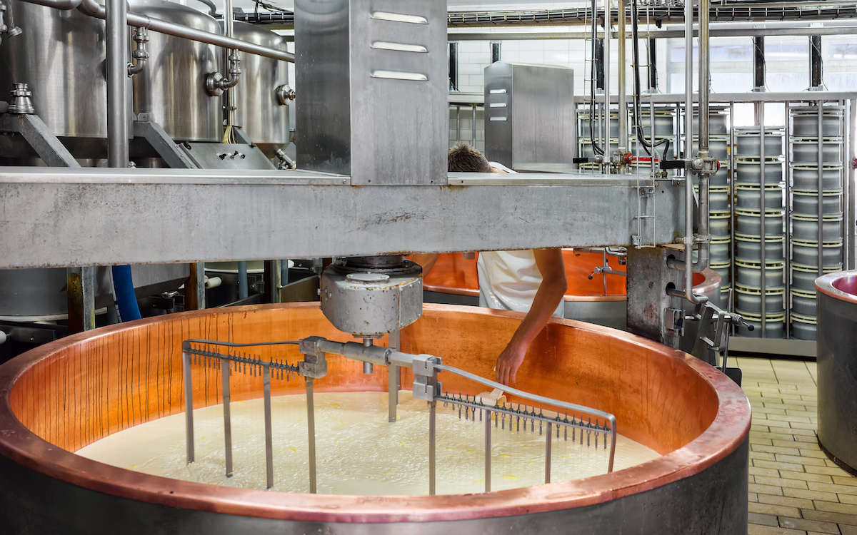Production of Gruyere de Comte Cheese at the French dairy in Franche Comte, Burgundy, in France